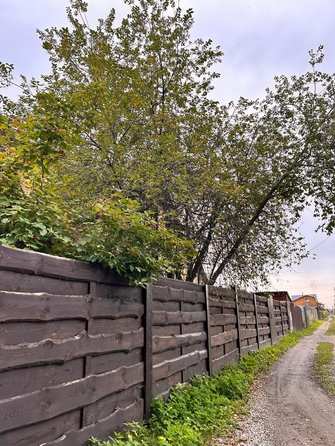 
  Продается коттедж, 165 м², село Власиха
. Фото 7.