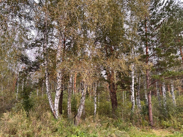 
  Продается коттедж, 165 м², село Власиха
. Фото 29.