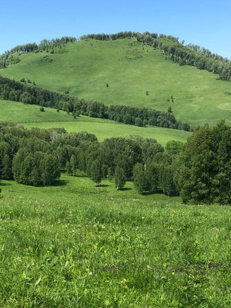 
  Продается производственное помещение, 2200 м², Алтайская ул, д. 80
. Фото 9.