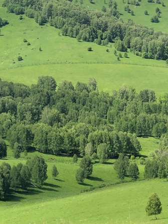 
  Продается производственное помещение, 2200 м², Алтайская ул, д. 80
. Фото 20.