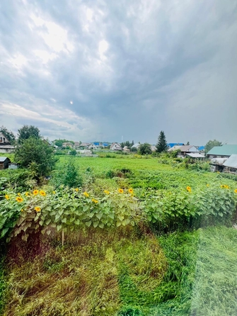 
  Продам дом, 105 м², село Власиха
. Фото 23.