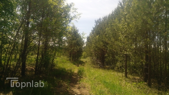 
  Продается земельный участок, 5800 соток, село Баюновские Ключи
. Фото 21.