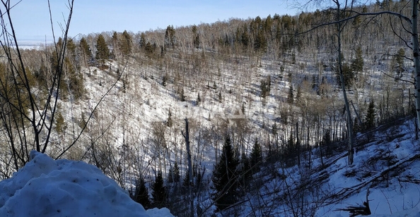 
  Продается земельный участок, 3801.06 сотка, Белокуриха
. Фото 3.