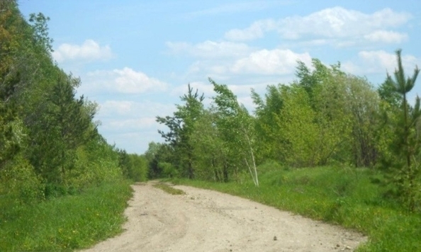 
  Продается земельный участок, 9 соток, село Баюновские Ключи
. Фото 8.