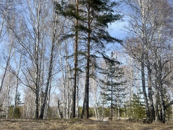 
  Продается земельный участок, 9 соток, село Баюновские Ключи
. Фото 10.