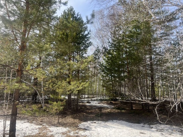 
  Продается земельный участок, 9 соток, село Баюновские Ключи
. Фото 18.