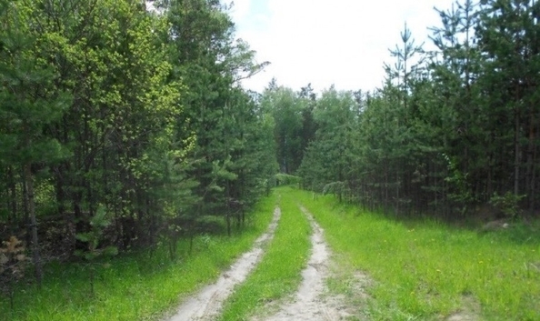
  Продается земельный участок, 9 соток, село Баюновские Ключи
. Фото 21.