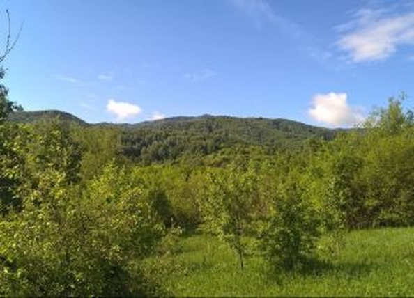 
  Продается земельный участок, 1000 соток, село Черновая
. Фото 11.