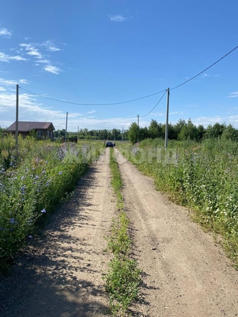 
  Продается земельный участок, 12 соток, поселок Новый
. Фото 6.