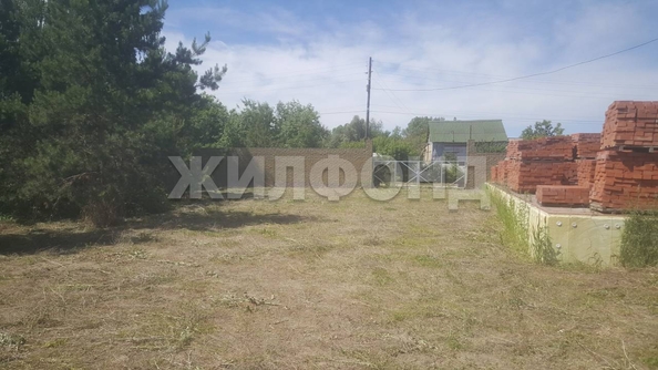 
  Продается земельный участок, 10 соток, село Фирсово
. Фото 11.
