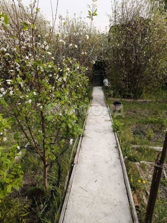 
  Продается дача, 48 м², Барнаул
. Фото 8.