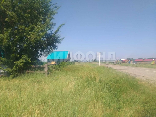 
  Продается земельный участок, 23.42 сотки, село Гуселетово
. Фото 5.