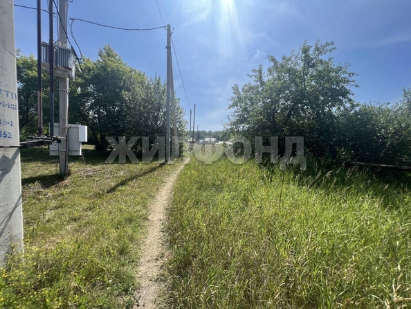 
  Продается земельный участок, 15 соток, поселок Мохнатушка
. Фото 1.