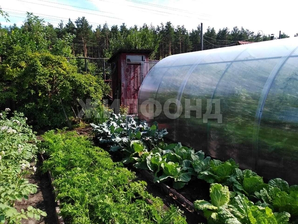 
  Продается дача, 28 м², Барнаул
. Фото 13.
