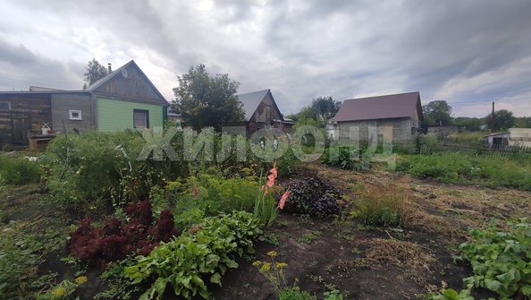 
  Продается дом, 33.1 м², поселок Казенная Заимка
. Фото 19.
