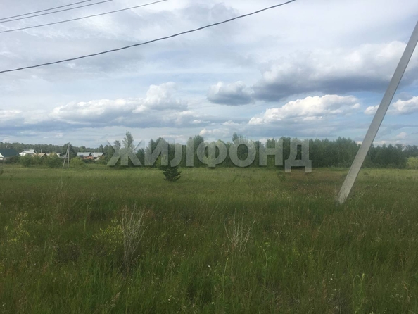 
  Продается земельный участок, 10 соток, поселок Черницк
. Фото 5.