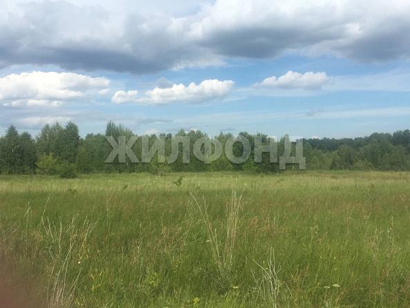 
  Продается земельный участок, 10 соток, поселок Черницк
. Фото 7.