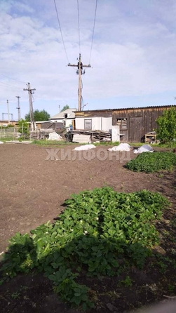 
  Продается дом, 74 м², Камень-на-Оби
. Фото 14.