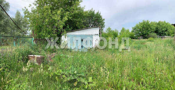 
  Продается земельный участок, 46 соток, поселок Черницк
. Фото 4.