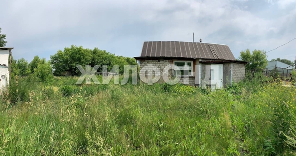 
  Продается земельный участок, 46 соток, поселок Черницк
. Фото 5.