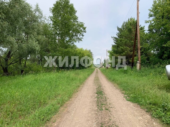 
  Продается земельный участок, 46 соток, поселок Черницк
. Фото 8.