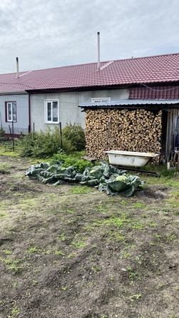 
  Продается коттедж, 56.6 м², село Топчиха
. Фото 8.