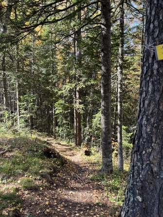 
  Продается земельный участок 700 соток. Фото 3.