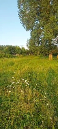 
  Продается земельный участок 23.5 сотки. Фото 3.