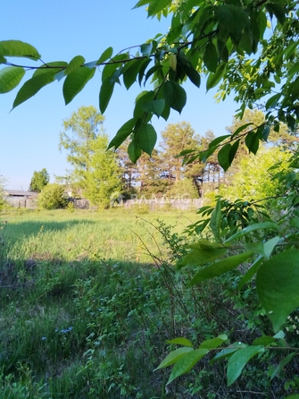 
  Продается дом, 33.8 м², село Горячинск
. Фото 1.