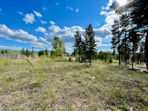 
  Продается земельный участок, 8 соток, территория ДНТ Клен
. Фото 3.