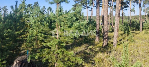 
  Продается земельный участок, 7.24 соток, Улан-Удэ
. Фото 4.