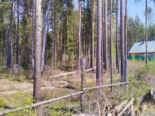 
  Продается земельный участок, 6 соток, село Горячинск
. Фото 2.