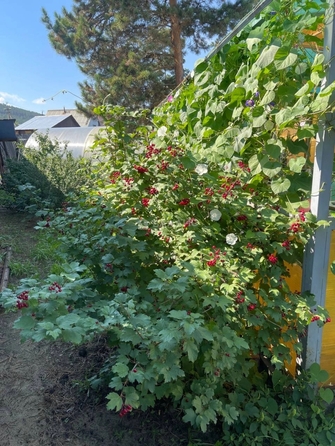 
  Продам коттедж 85.9 м². Фото 12.