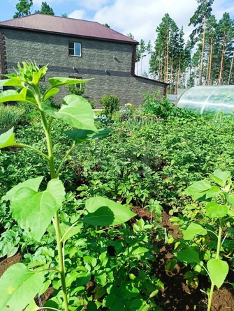 
  Продается дом 141.1 м². Фото 25.