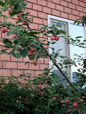 
  Продается дом 100 м². Фото 32.