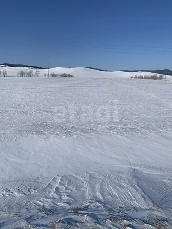 
  Продается земельный участок 10 соток. Фото 4.