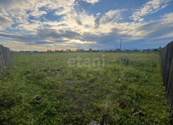 
  Продается земельный участок 80 соток. Фото 8.