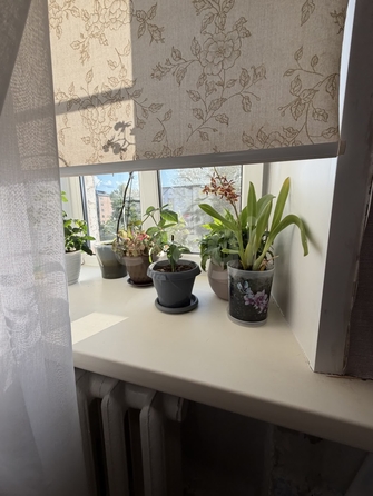 
  Продается студия 17.5 м². Фото 11.