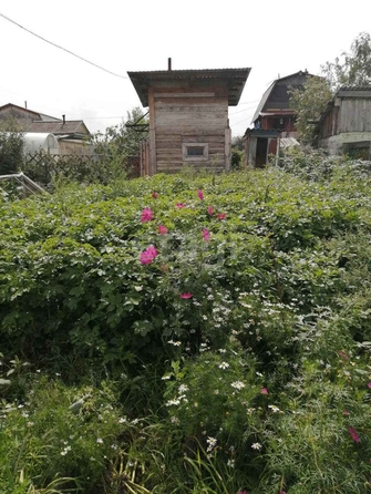 
  Продается дача 15.7 м². Фото 7.