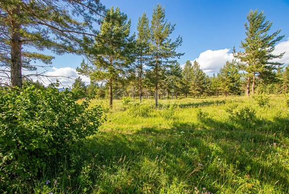 
  Продается земельный участок 8 соток. Фото 3.