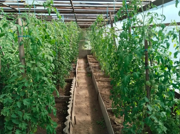 
  Продается дача 30 м². Фото 6.