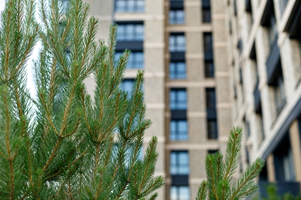 
  Продается 3-комн. квартира, 61 м², ЖК Стрижи Сити, блок-секции 6,7
. Фото 30.
