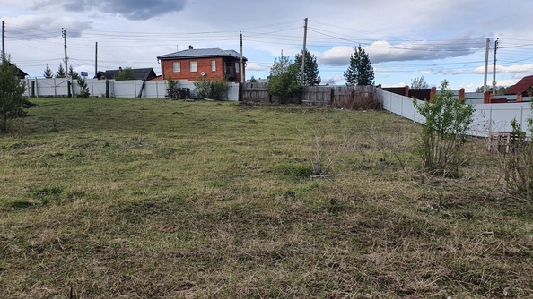 
  Продается земельный участок, 26 соток, деревня Новогрудинина
. Фото 5.