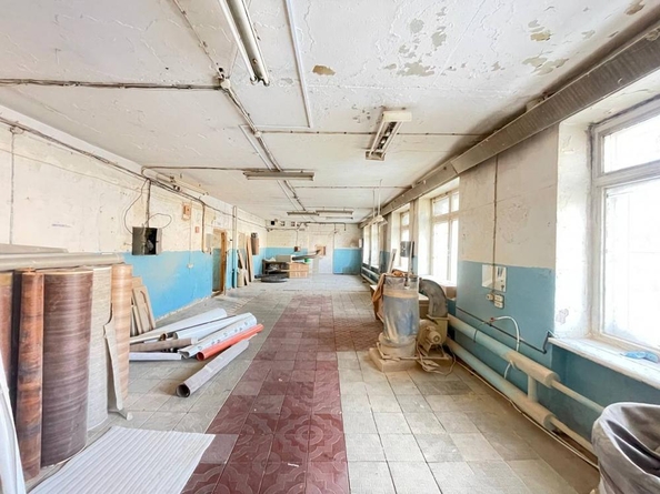 
  Сдается универсальное помещение, 500 м², Молотовая ул, д. 99
. Фото 5.
