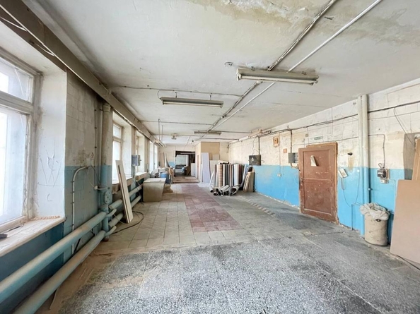 
  Сдается универсальное помещение, 500 м², Молотовая ул, д. 99
. Фото 6.