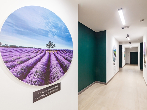 
  Продается 1-комн. квартира, 32.4 м², ЖК Квартал Стрижи, 3 очередь, дом 2
. Фото 23.