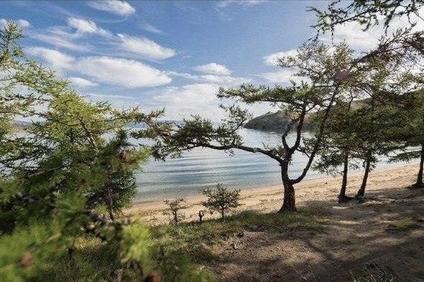 
  Продается земельный участок 100 соток. Фото 8.