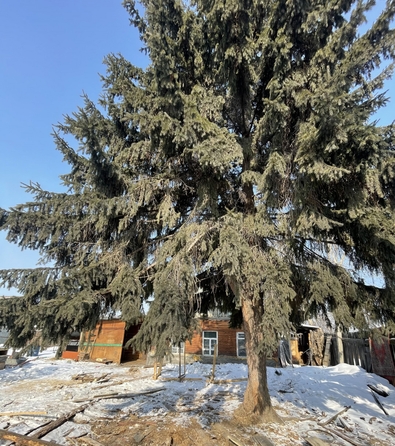 
  Продается коттедж 44 м². Фото 2.