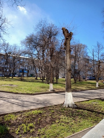 
   Продам 2-комнатную, 45.6 м², Ворошилова ул, 5

. Фото 10.