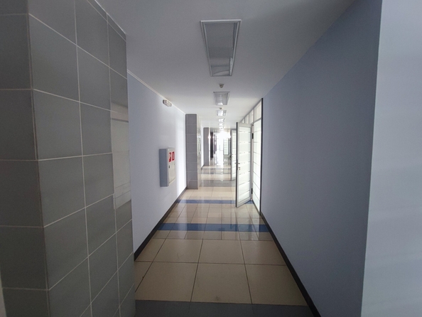 
  Сдается офис, 840 м², Грузовая ул, д. 19
. Фото 12.